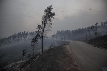 Incêndios florestais de 2017 – causas, consequências e caminhos alternativos