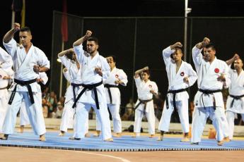 Gala de Artes Marciais