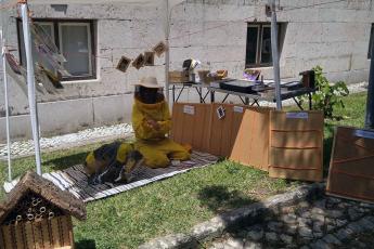 Viagem à Biodiversidade das Abelha