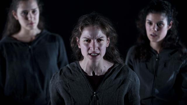 Prelúdio: a mulher selvagem